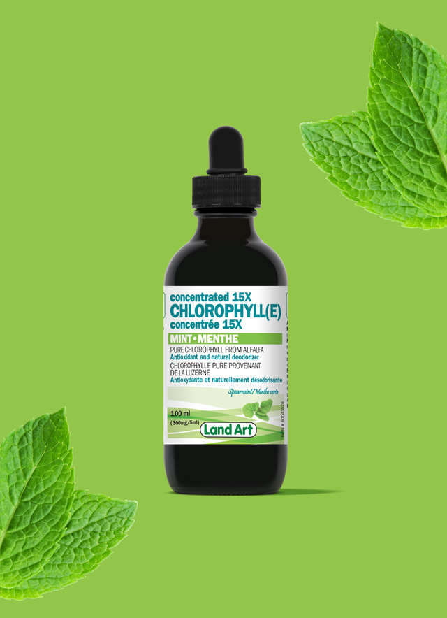Chlorophylle 15X Liquide | Menthe - Land Art Alimentation Naturelle Chlorophylle 15X Liquide | Menthe - Land Art Alimentation Naturelle