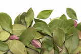 THÉ DES BOIS GRADE 1 (SAC DE 20G)