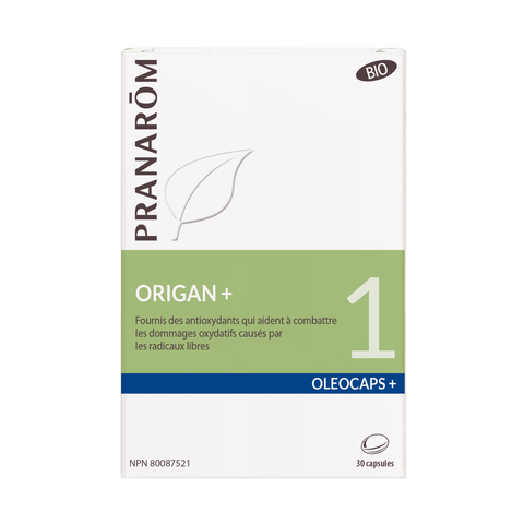 ORIGAN +