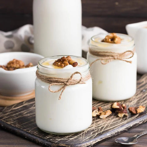 Culture de matsoni (madzoun) de Révolution Fermentation