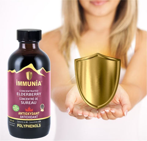 Immunia concentré de Sureau