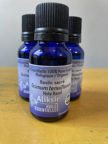 Basilic sacré (Ocimum tenuiflorum) huile essentielle