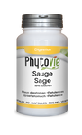 Sauge | Maux d’estomac, flatulences, antioxydants