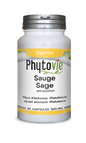 Sauge | Maux d’estomac, flatulences, antioxydants
