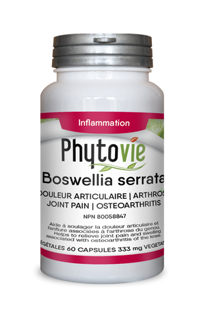 Boswellia Extrait | Douleur articulaire & Arthrose