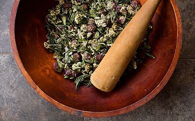 Tisane de la femme