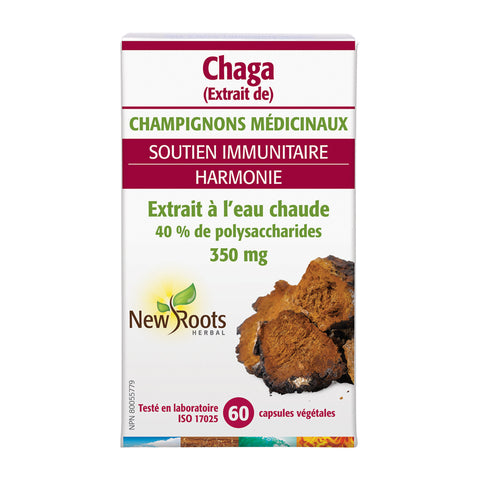 Chaga - Champignons médicinaux