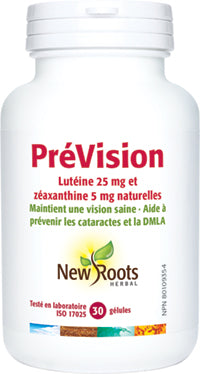 Prévision