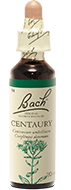 Centaurée (centaury)