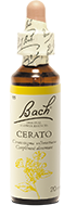 Cérat (Cérato)