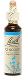 Chicorée (Chicory)