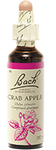 Pommetier (Crab Apple)