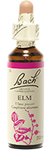 Orme (Elm)