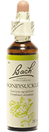 Chèvrefeuille (Honeysuckle)