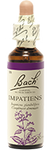 Impatiente (Impatiens)