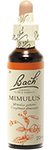 Mimule (Mimulus)