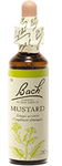 Moutarde (Mustard)