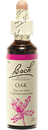 Chêne (Oak)