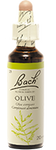 Olive (Olivier)