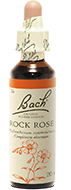 Hélianthème  (Rock rose)