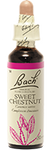Châtaigne douce (Sweet chestnut)