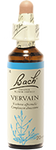 Verveine (vervain)