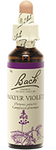 Violette (Water Violet)