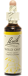 Avoine sauvage (Wild oat)