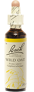 Avoine sauvage (Wild oat)