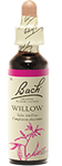 Saule (Willow)