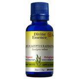Huile essentielle Eucalyptus Radiata biologique
