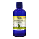 Huile essentielle Eucalyptus Radiata biologique