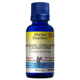 Huile essentielle Lavandin super biologique