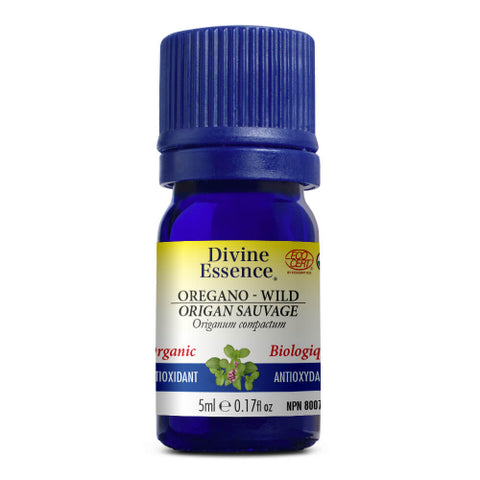 Huile essentielle Origan sauvage biologique