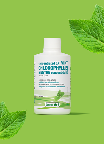 Chlorophylle 5X Liquide | Menthe - Land Art