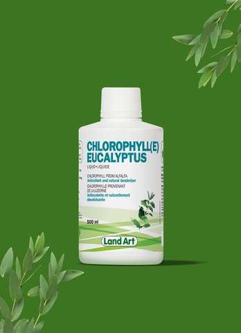 Chlorophylle Liquide | Eucalyptus - Land Art