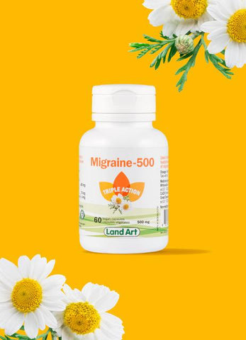 Migraine 500 - Land Art